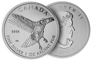 moeda de prata Canadian Silver Red-Tailed Hawk 1 oz 2015