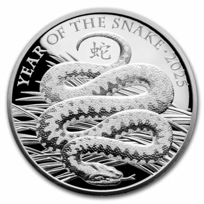 moeda de prata Great Britain Year of the Snake 1 oz 2025